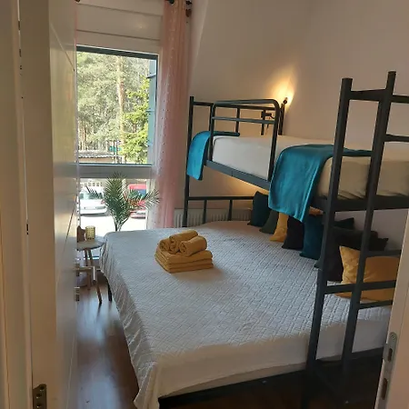 Perunika D9 - Divcigora *