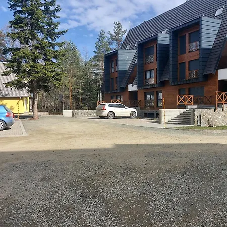 Perunika D9 - Divcigora *