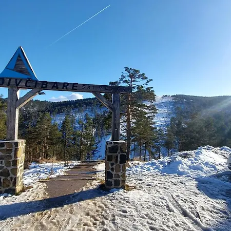 Perunika D9 - Divcigora