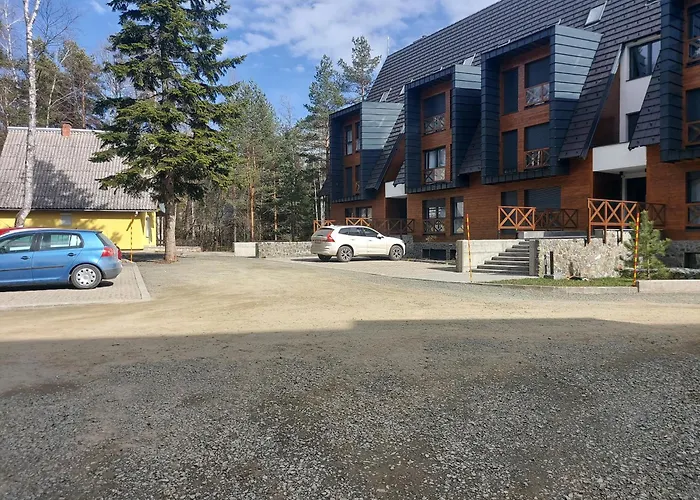 Perunika D9 - Divcigora *