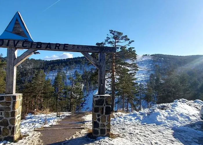 Perunika D9 - Divcigora